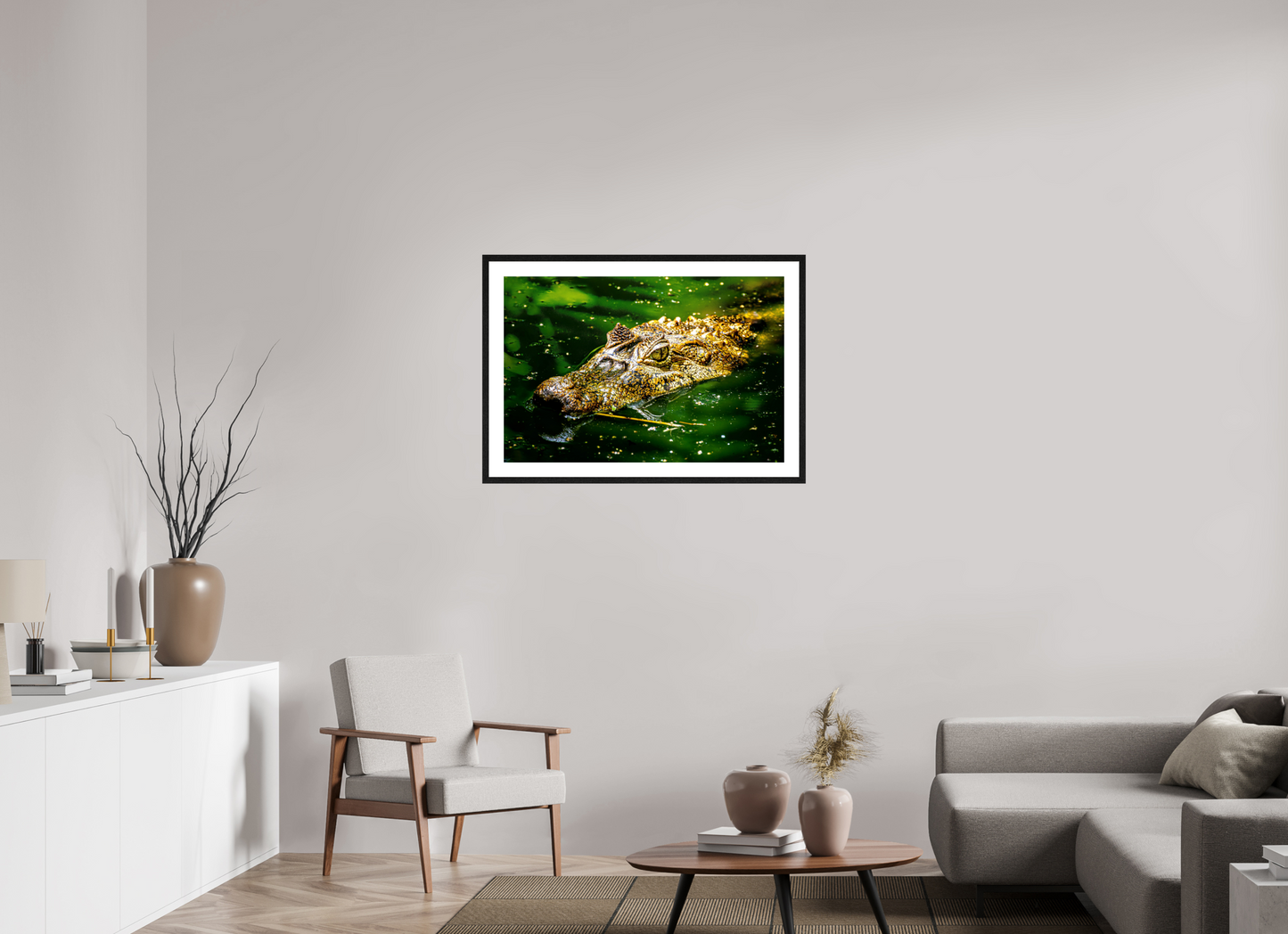Caiman Crocodile