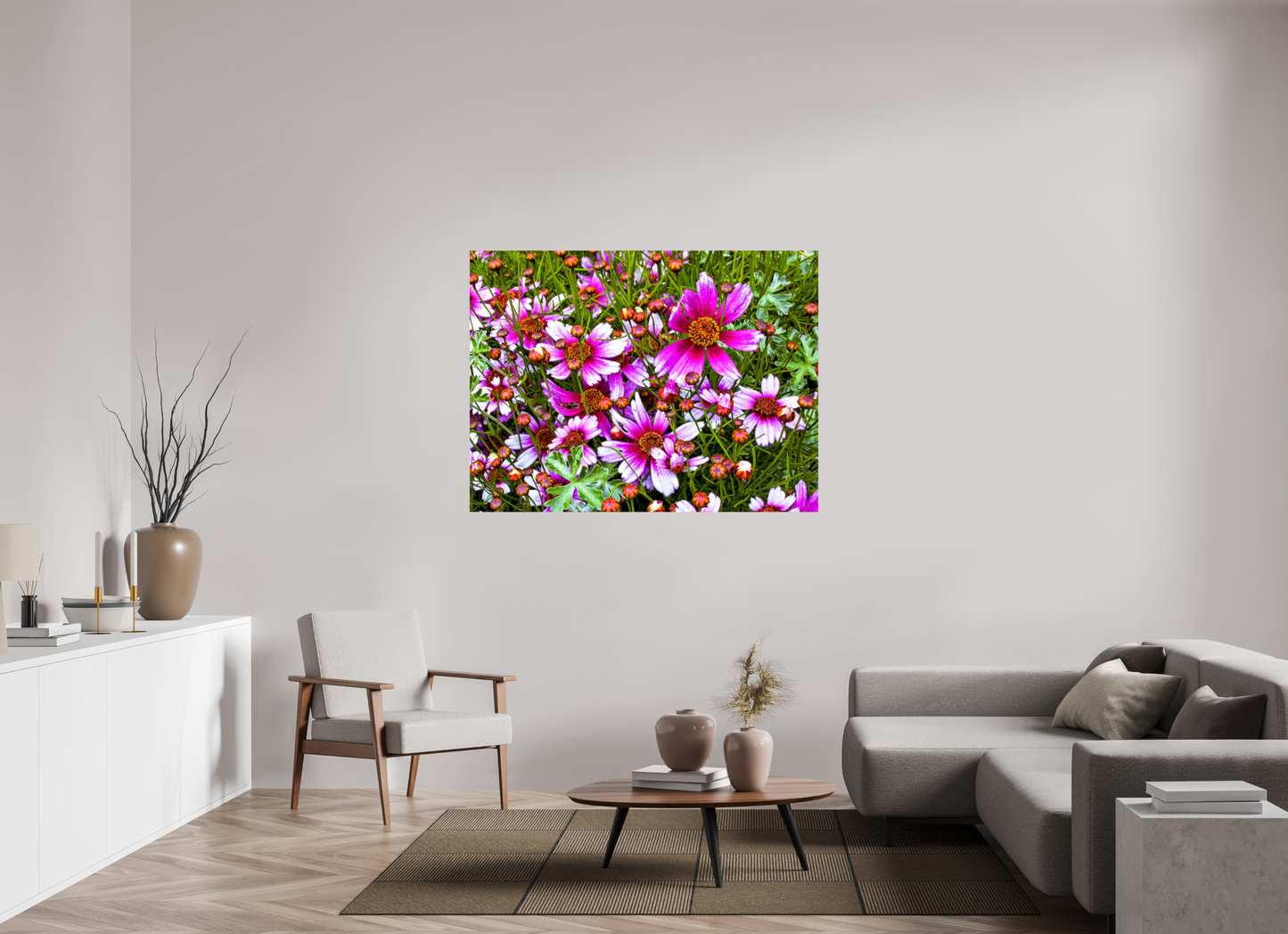 Mexican Aster