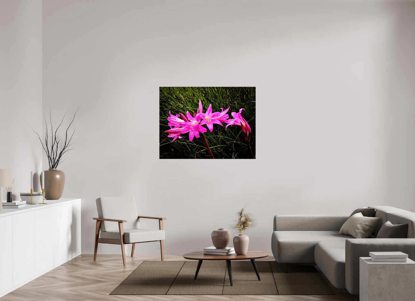 Belladonna