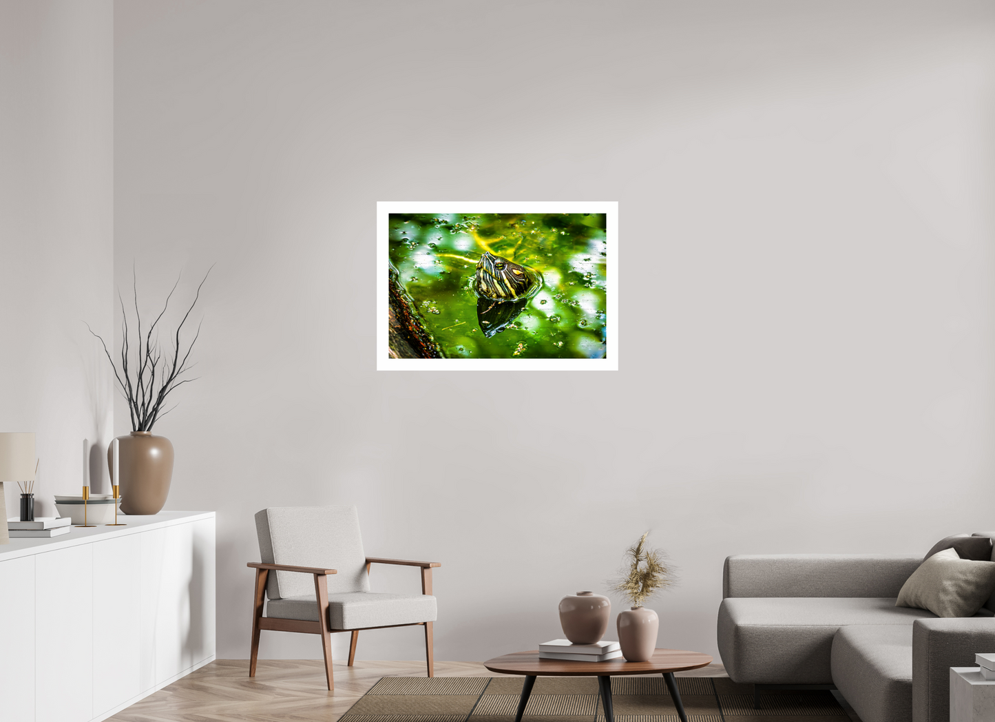 Red Eared Slider Turtle