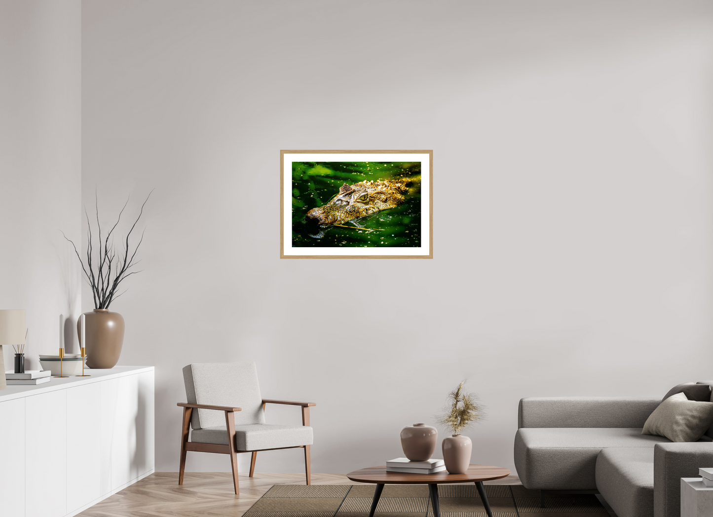 Caiman Crocodile