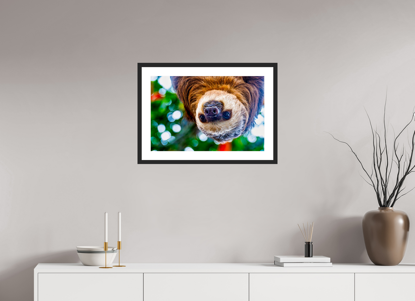 Hanging Two-Toed Sloth