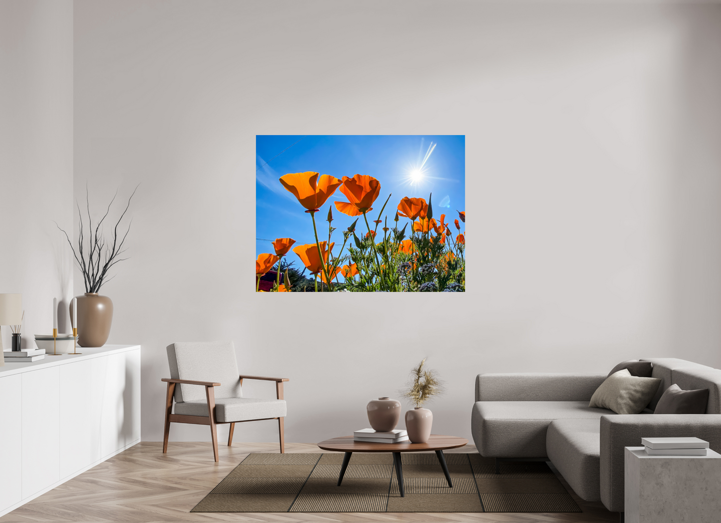 Golden Poppy