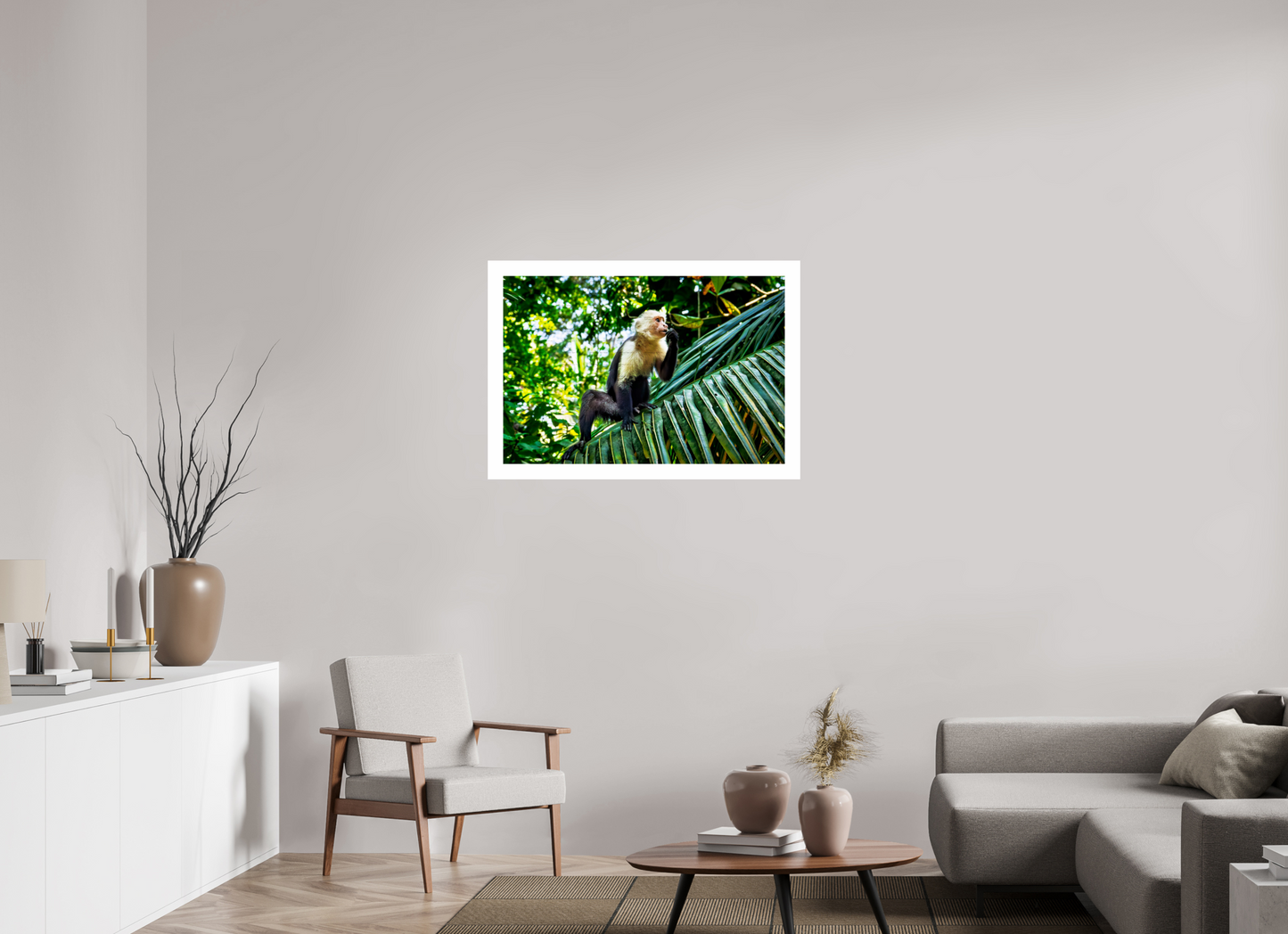 Capuchin Monkey