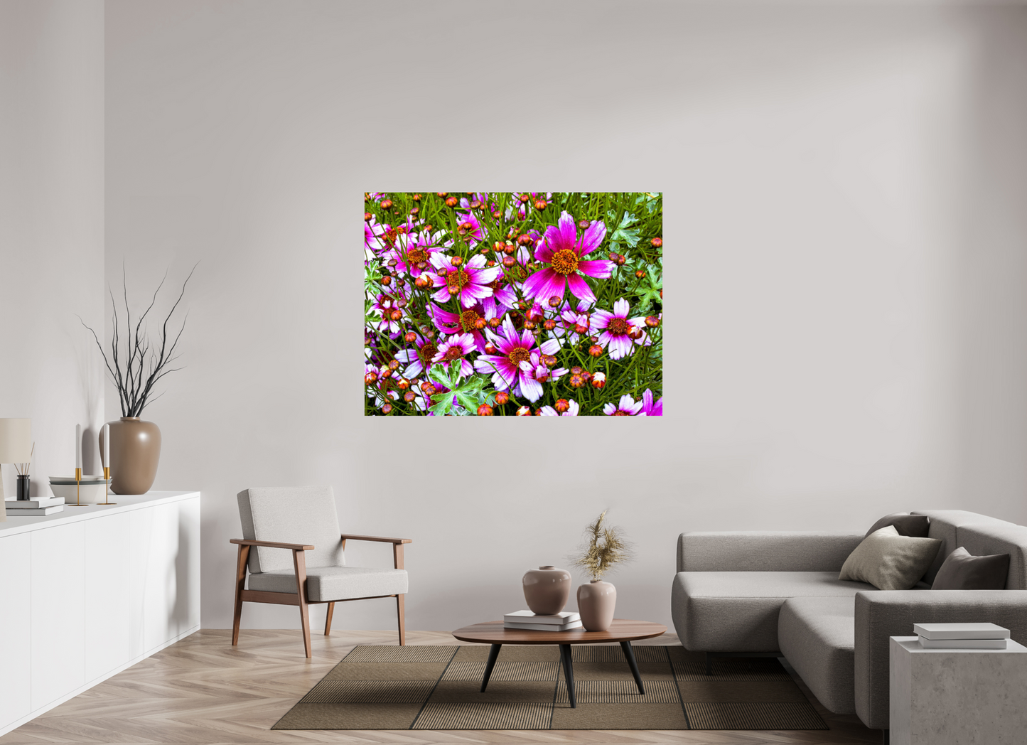 Mexican Aster