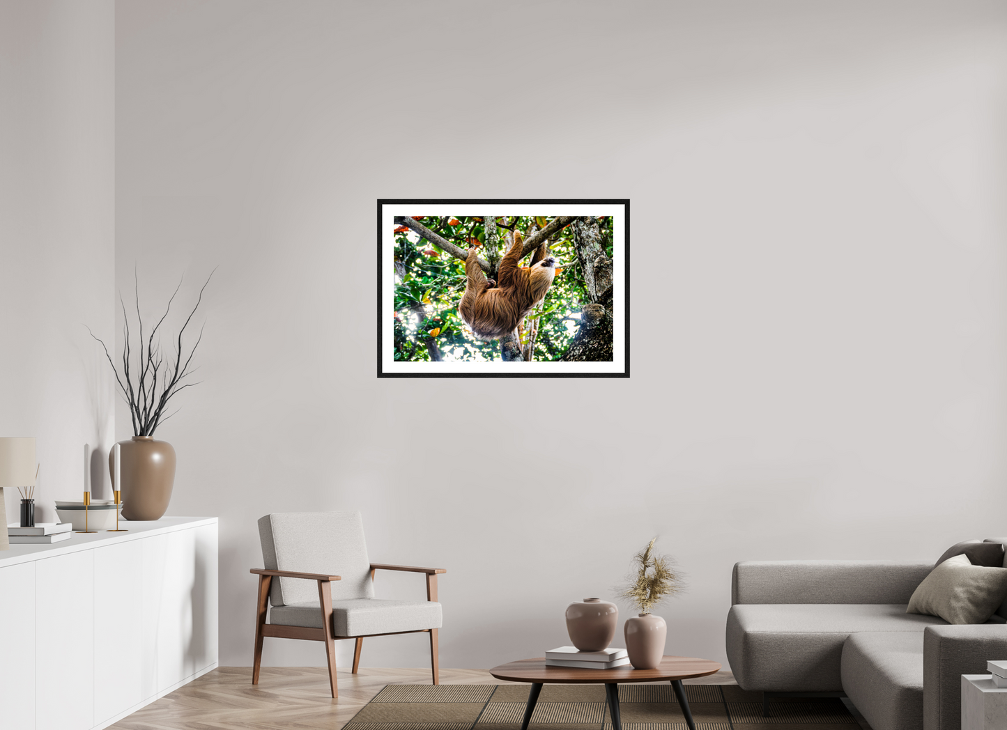 Two-Toed Sloth