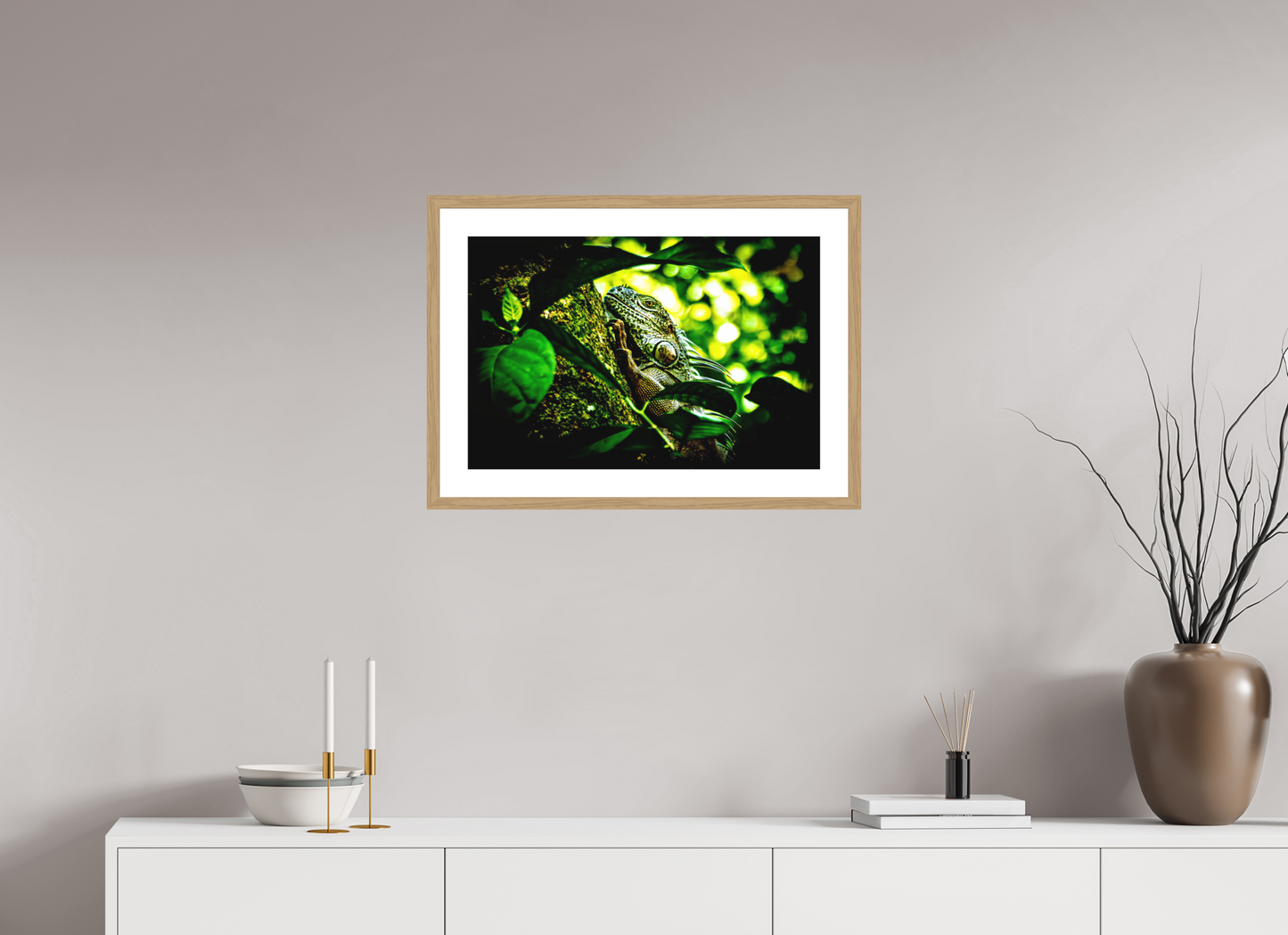 Green Iguana