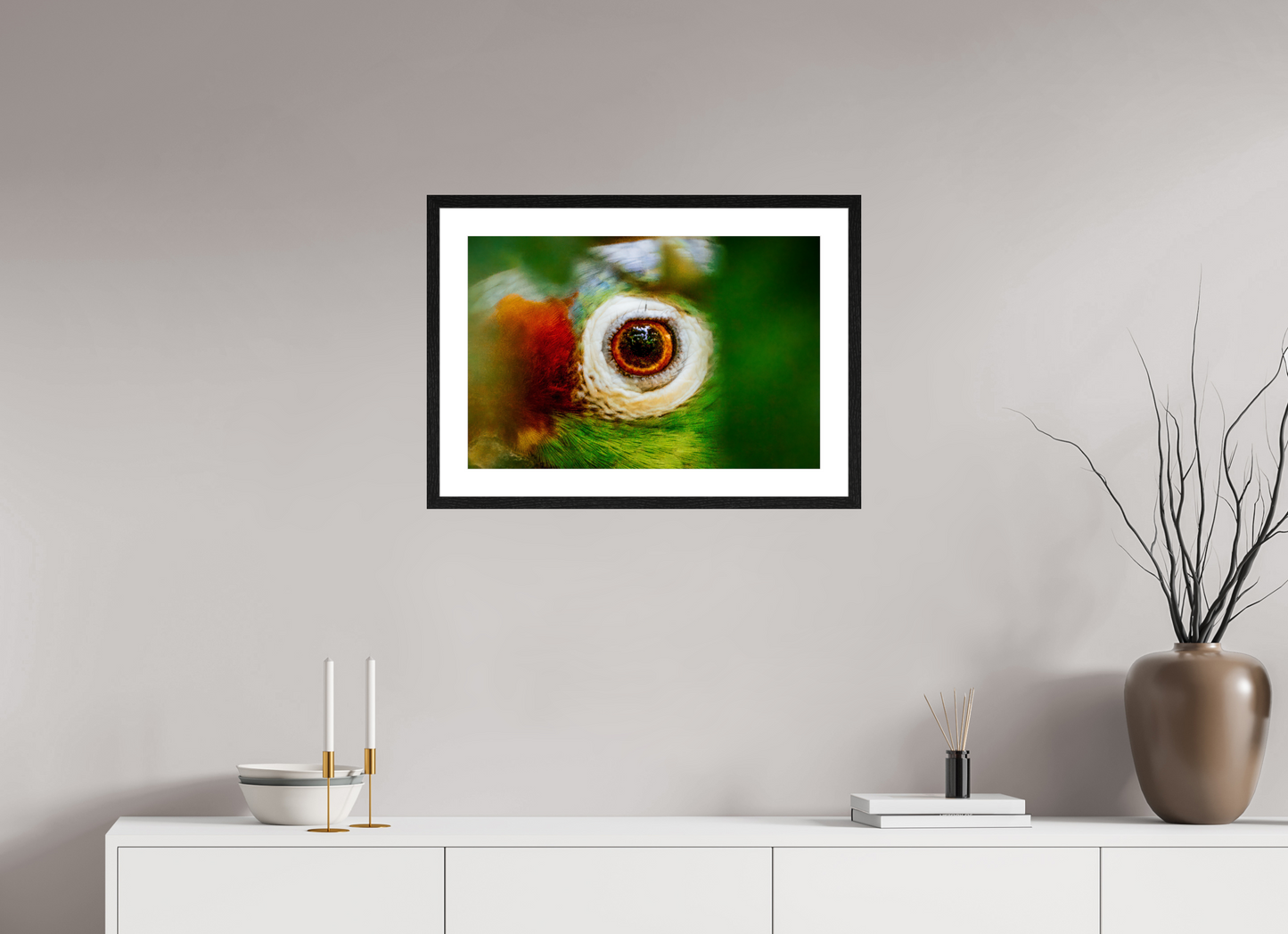 Eye of the Macaw