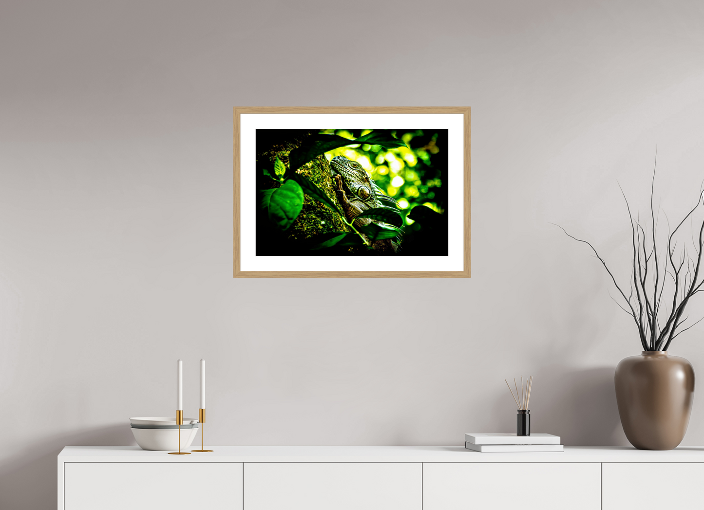 Green Iguana