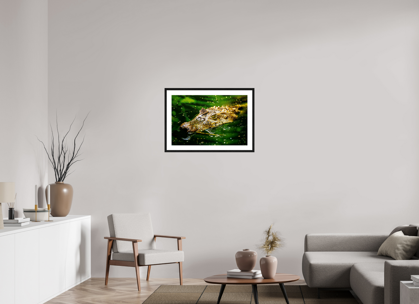 Caiman Crocodile