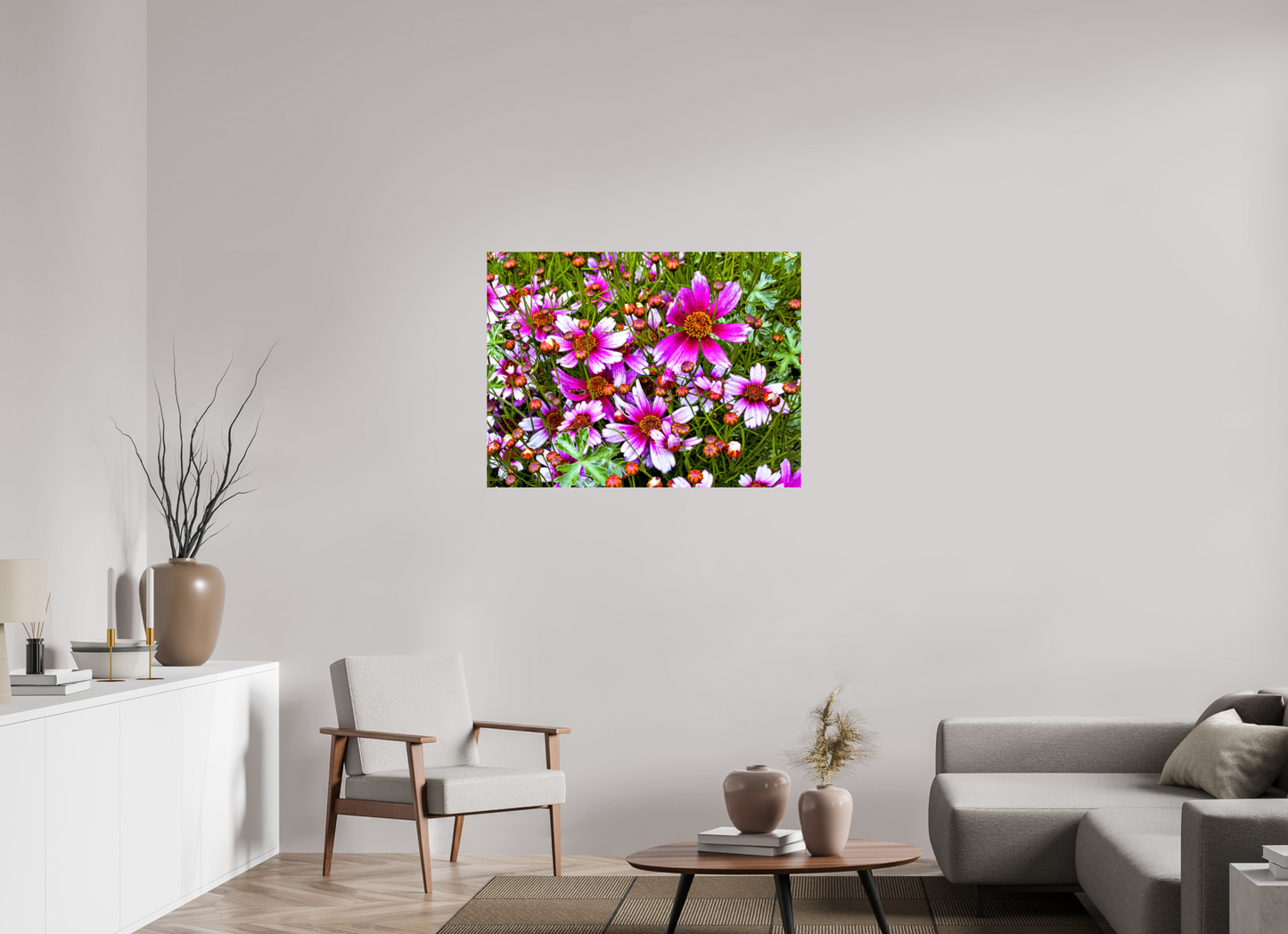 Mexican Aster
