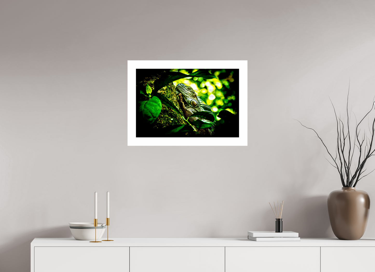 Green Iguana