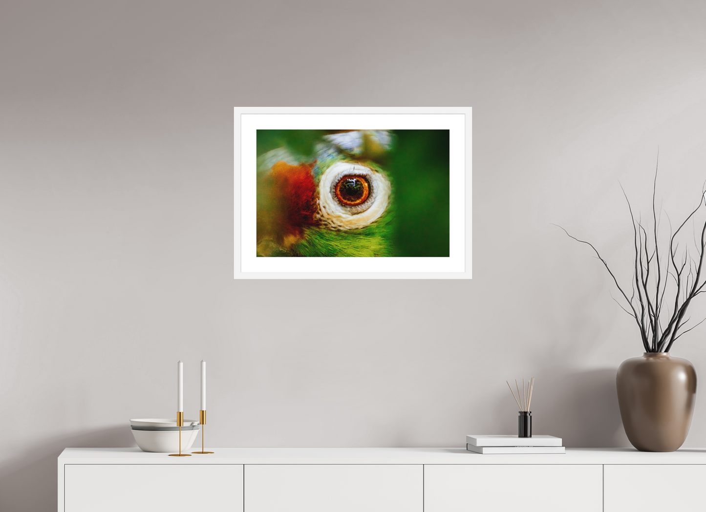 Eye of the Macaw