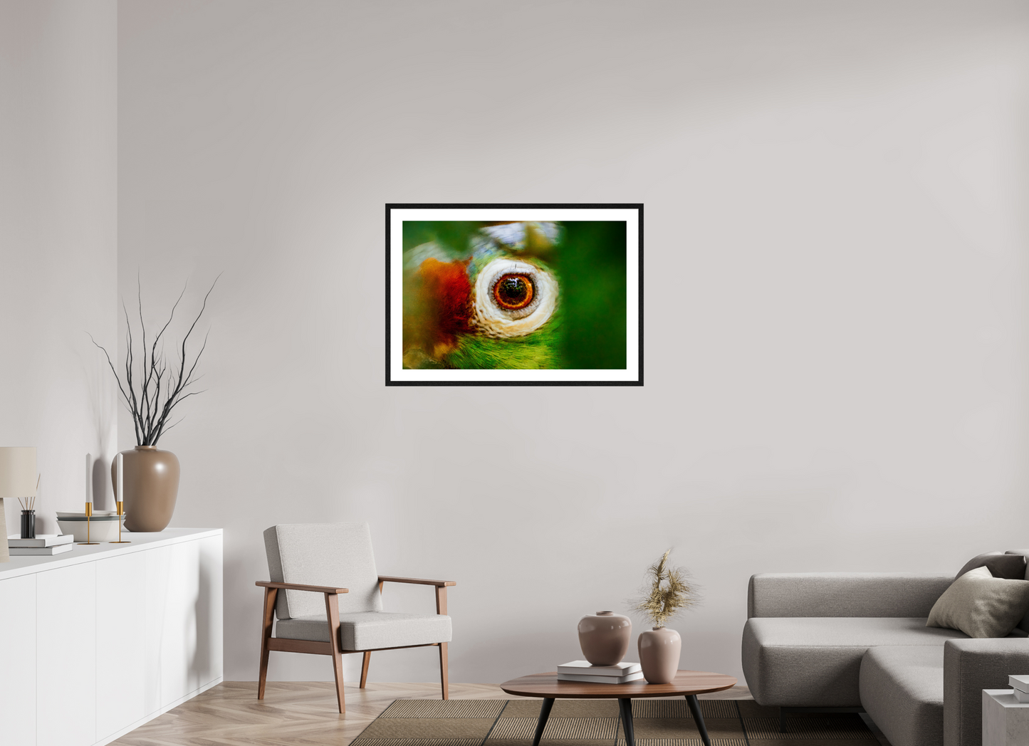 Eye of the Macaw
