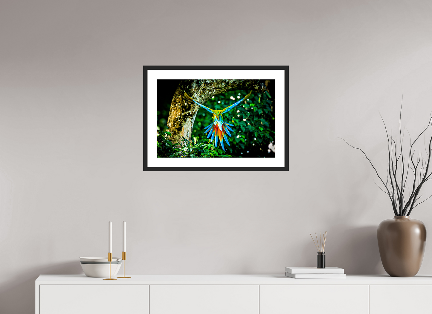 Great Green Macaw in Flight