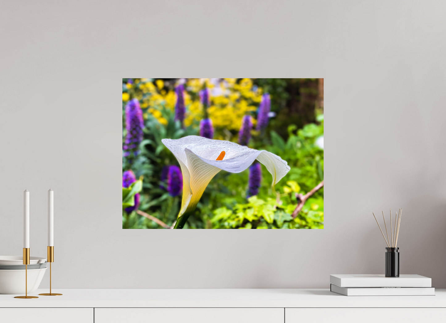 Calla Lily