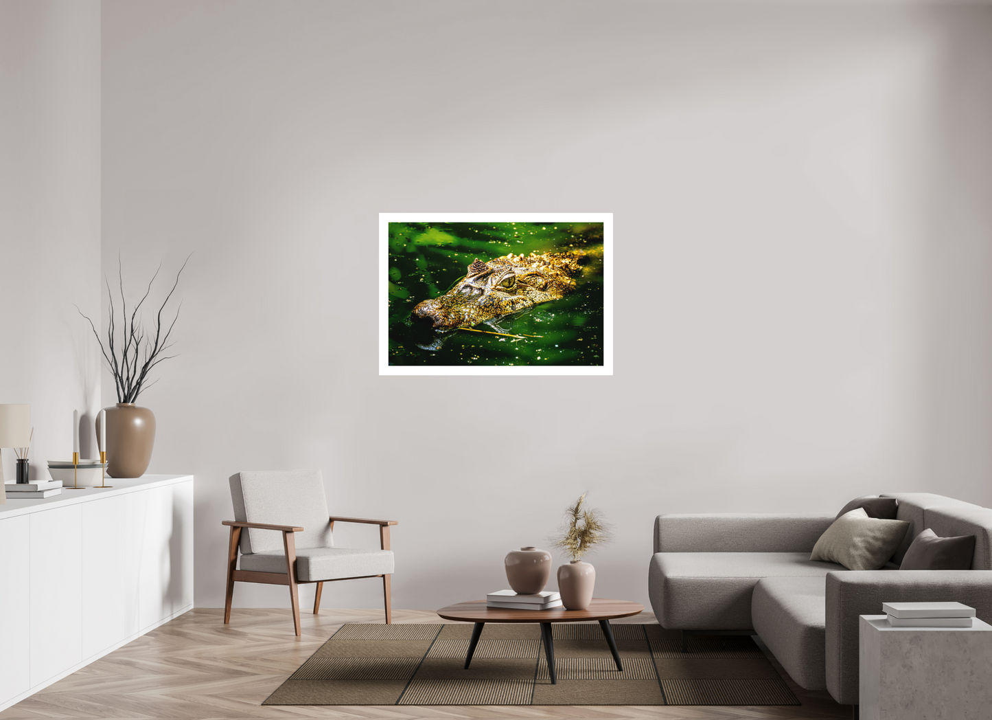 Caiman Crocodile