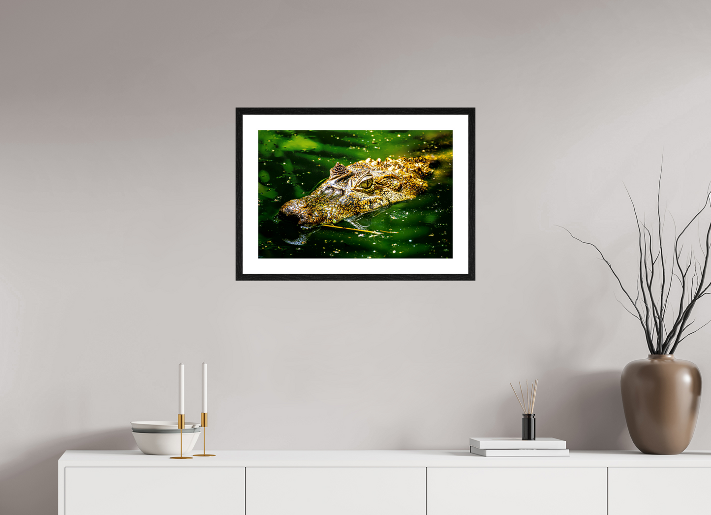 Caiman Crocodile