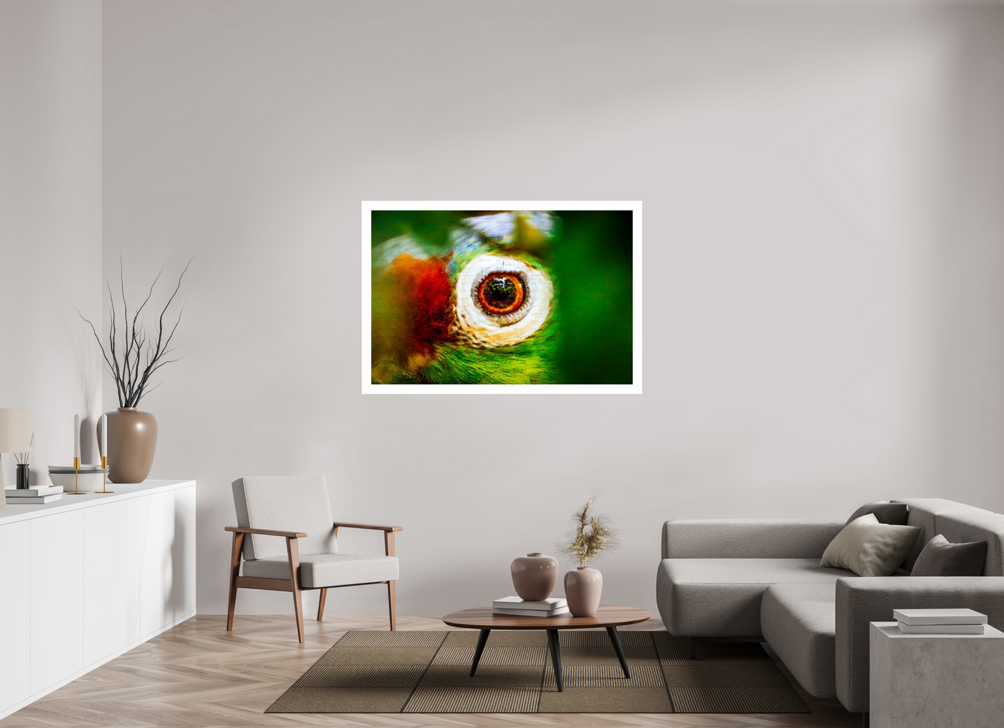 Eye of the Macaw