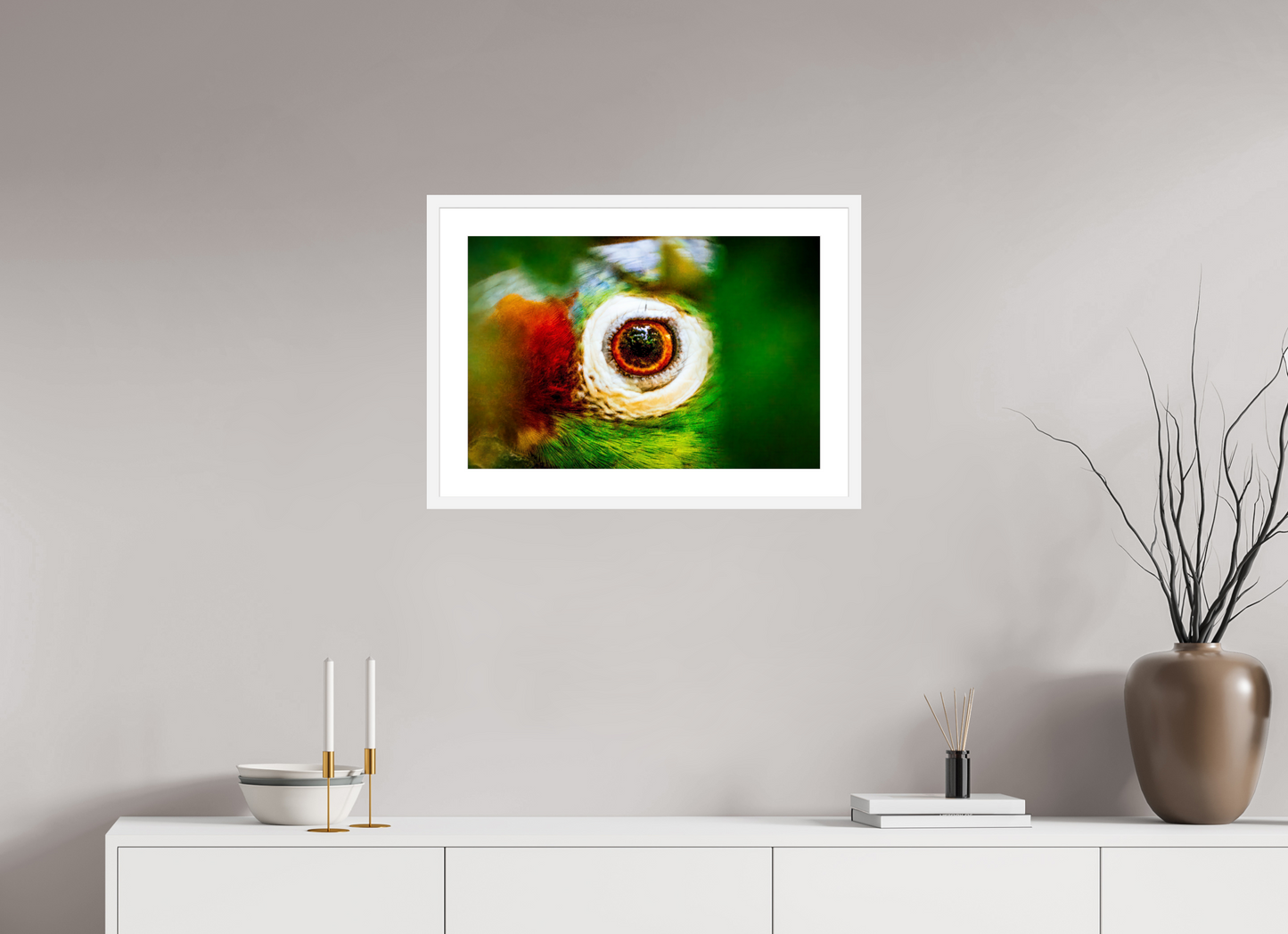 Eye of the Macaw