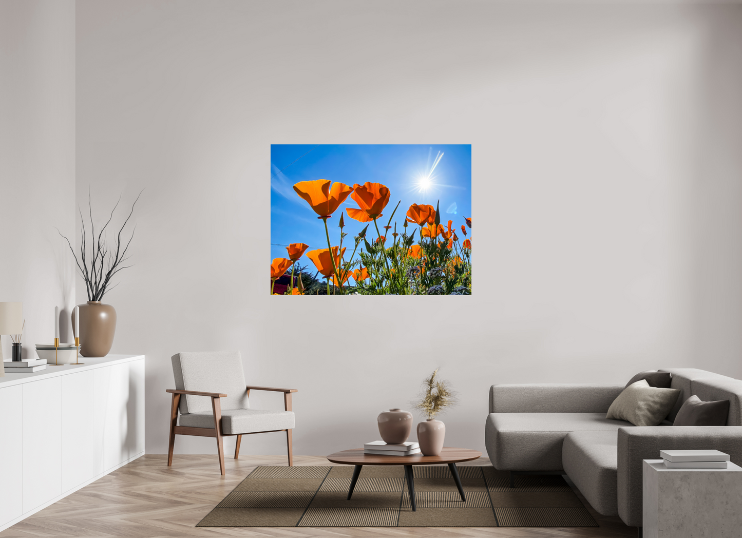 Golden Poppy