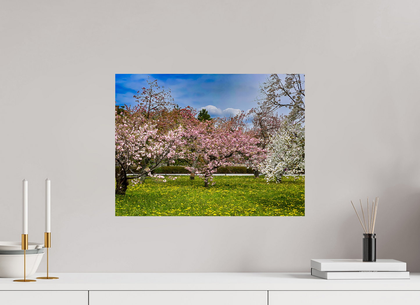 Cherry Blossom