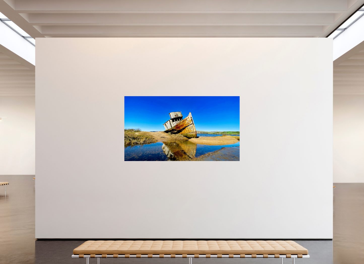 The Point Reyes : 16x9