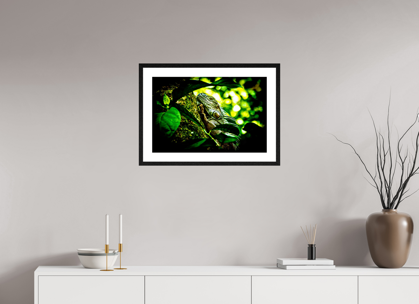 Green Iguana