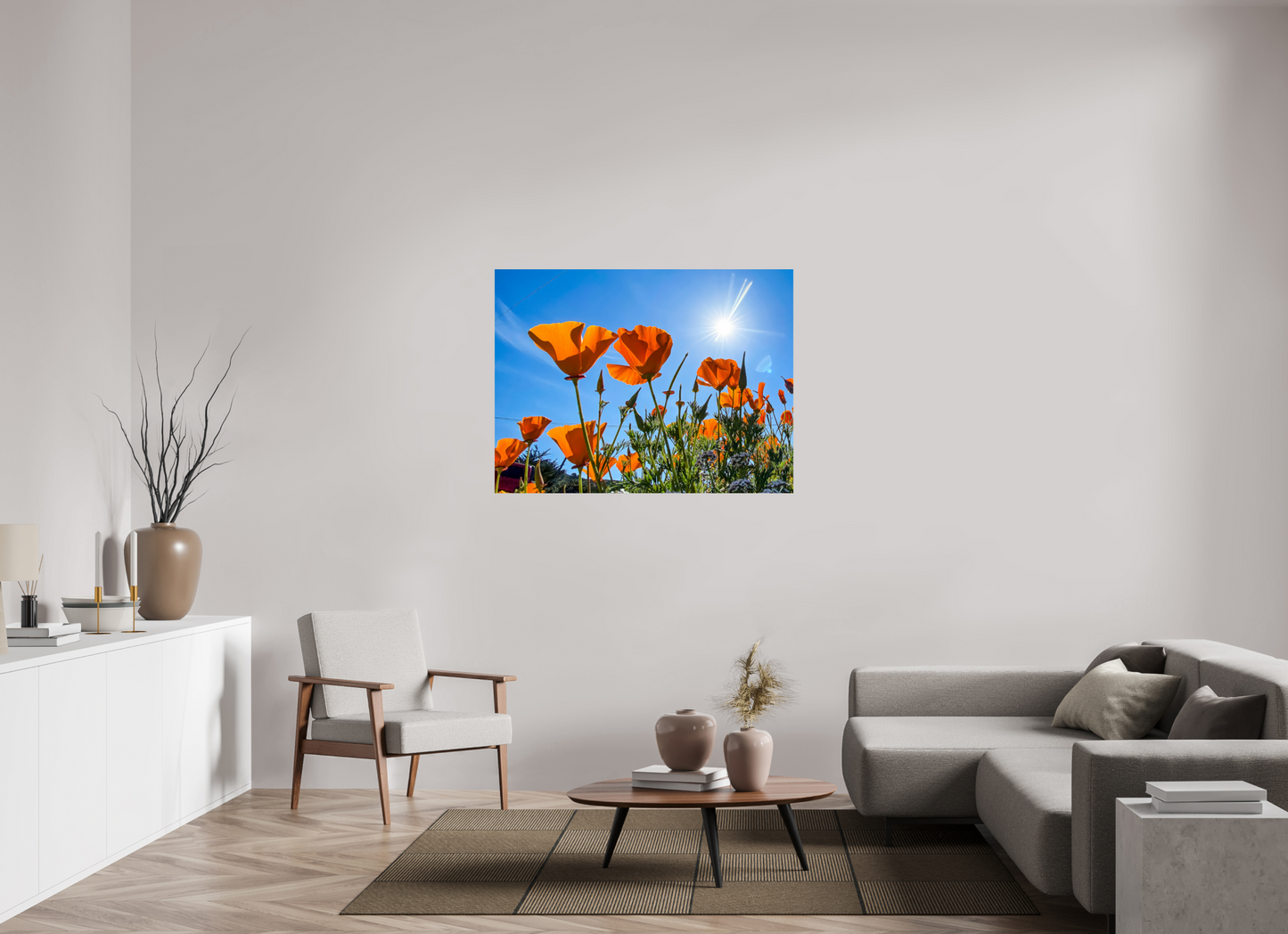 Golden Poppy