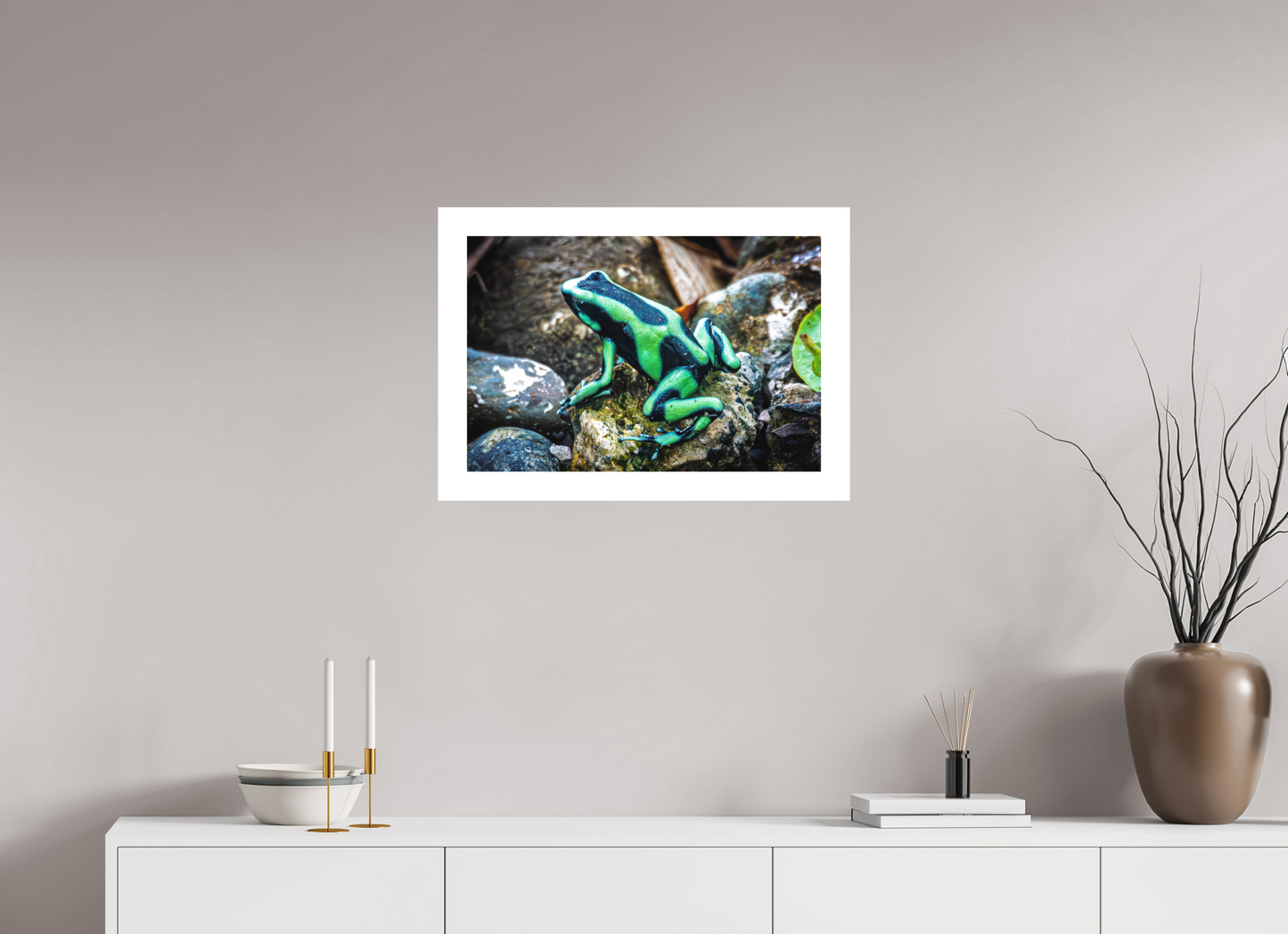 Poison Dart Frog