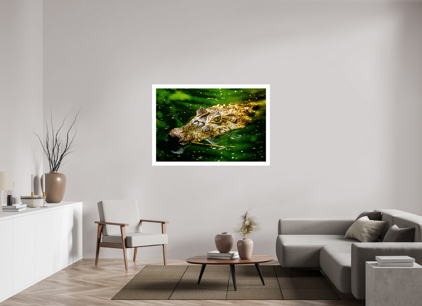 Caiman Crocodile