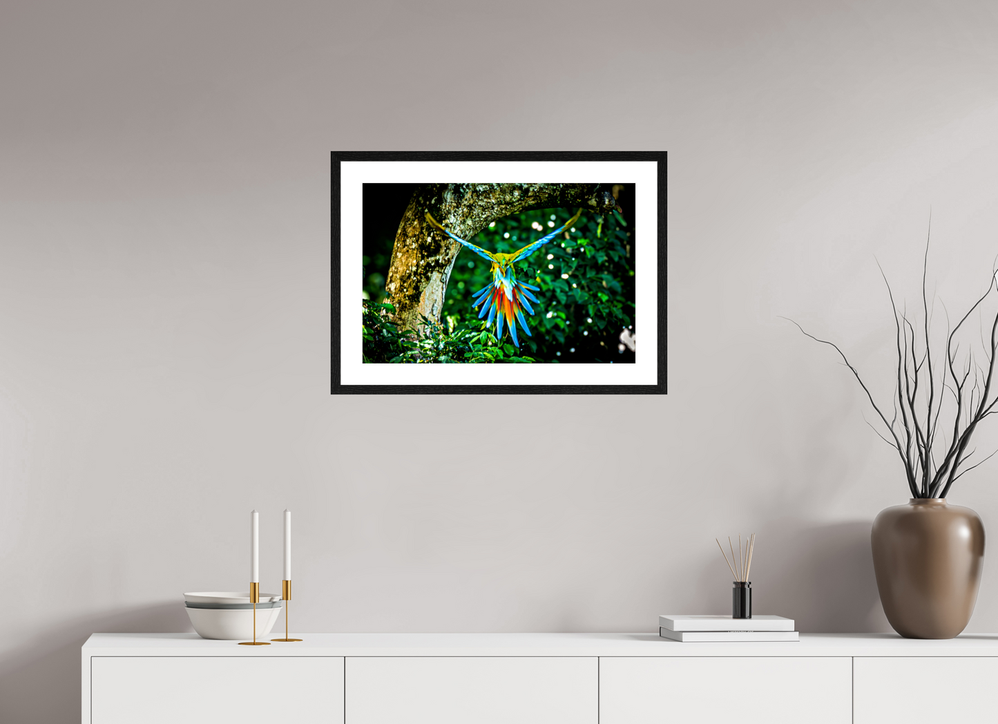 Great Green Macaw in Flight