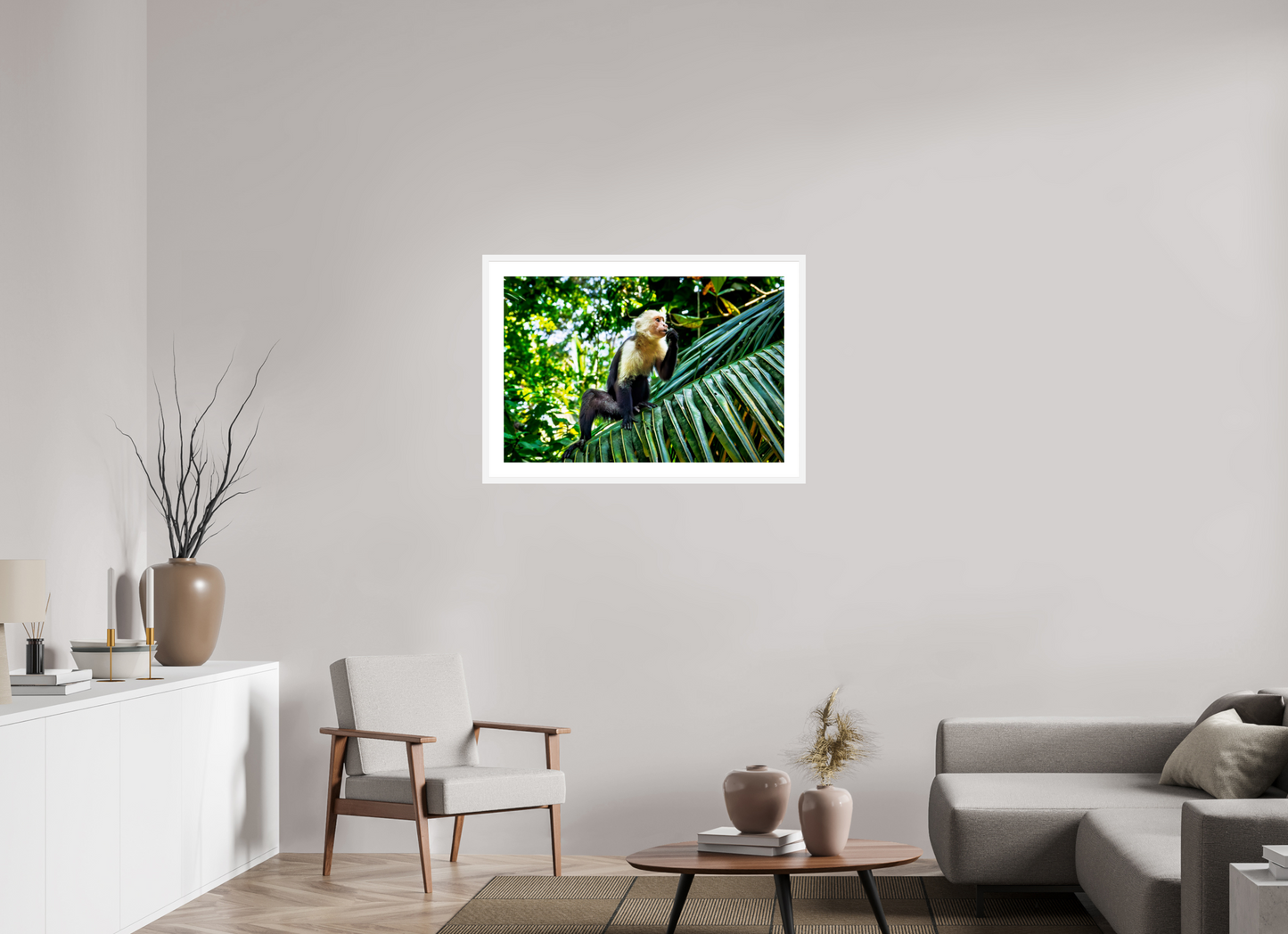 Capuchin Monkey
