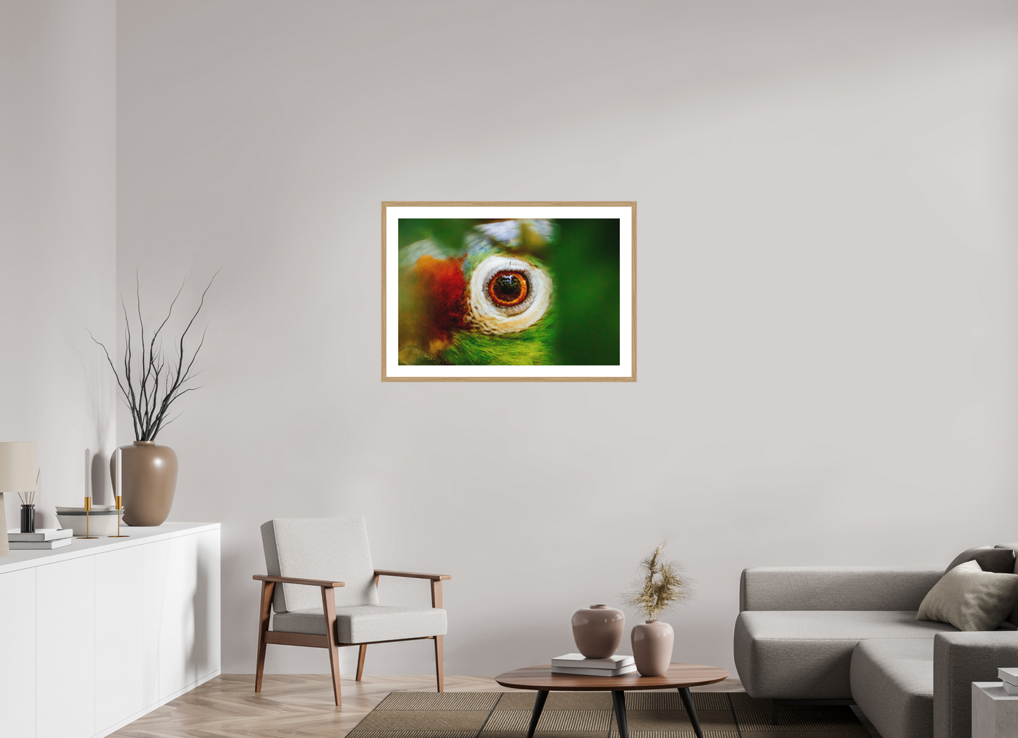 Eye of the Macaw