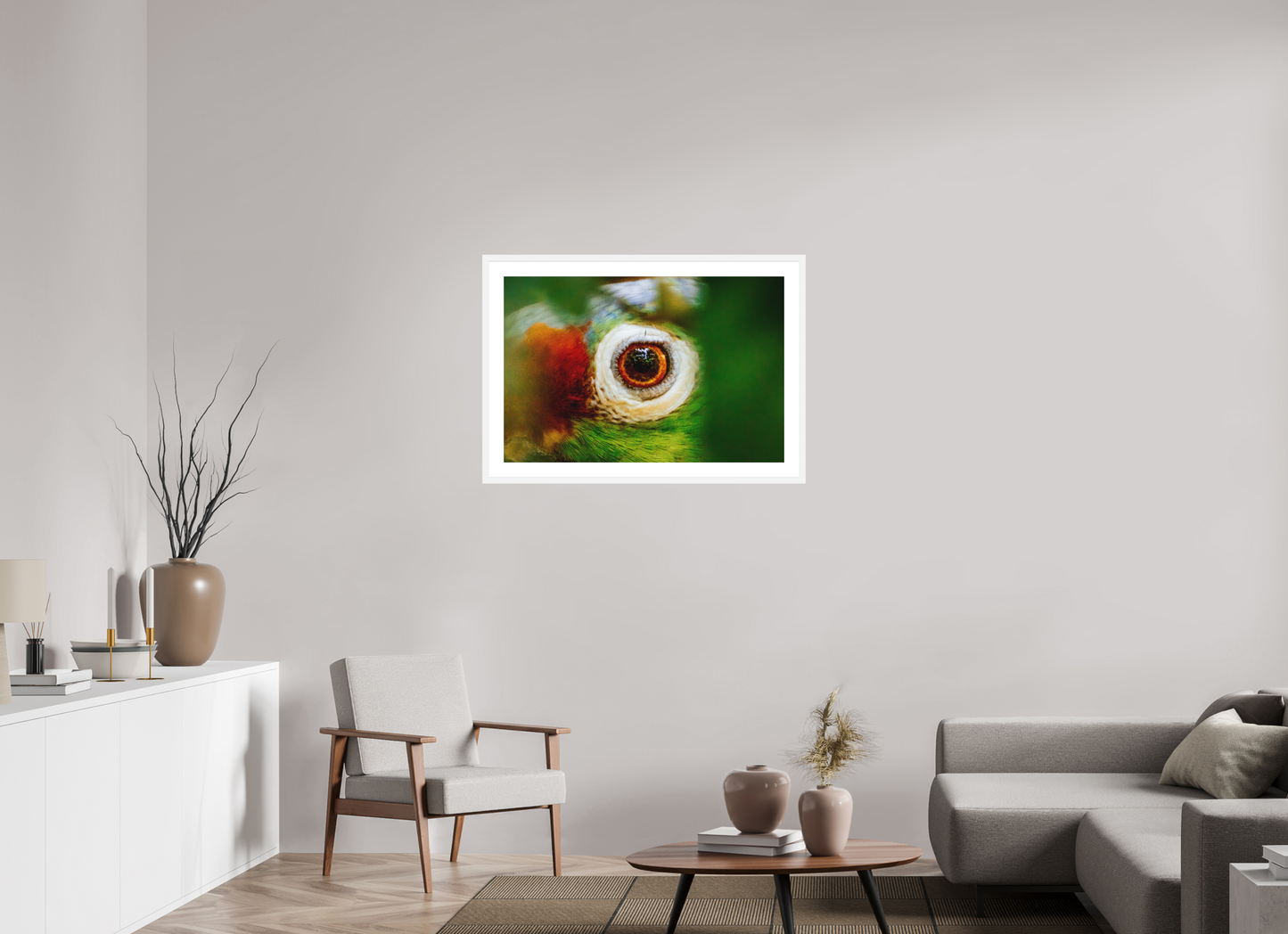 Eye of the Macaw