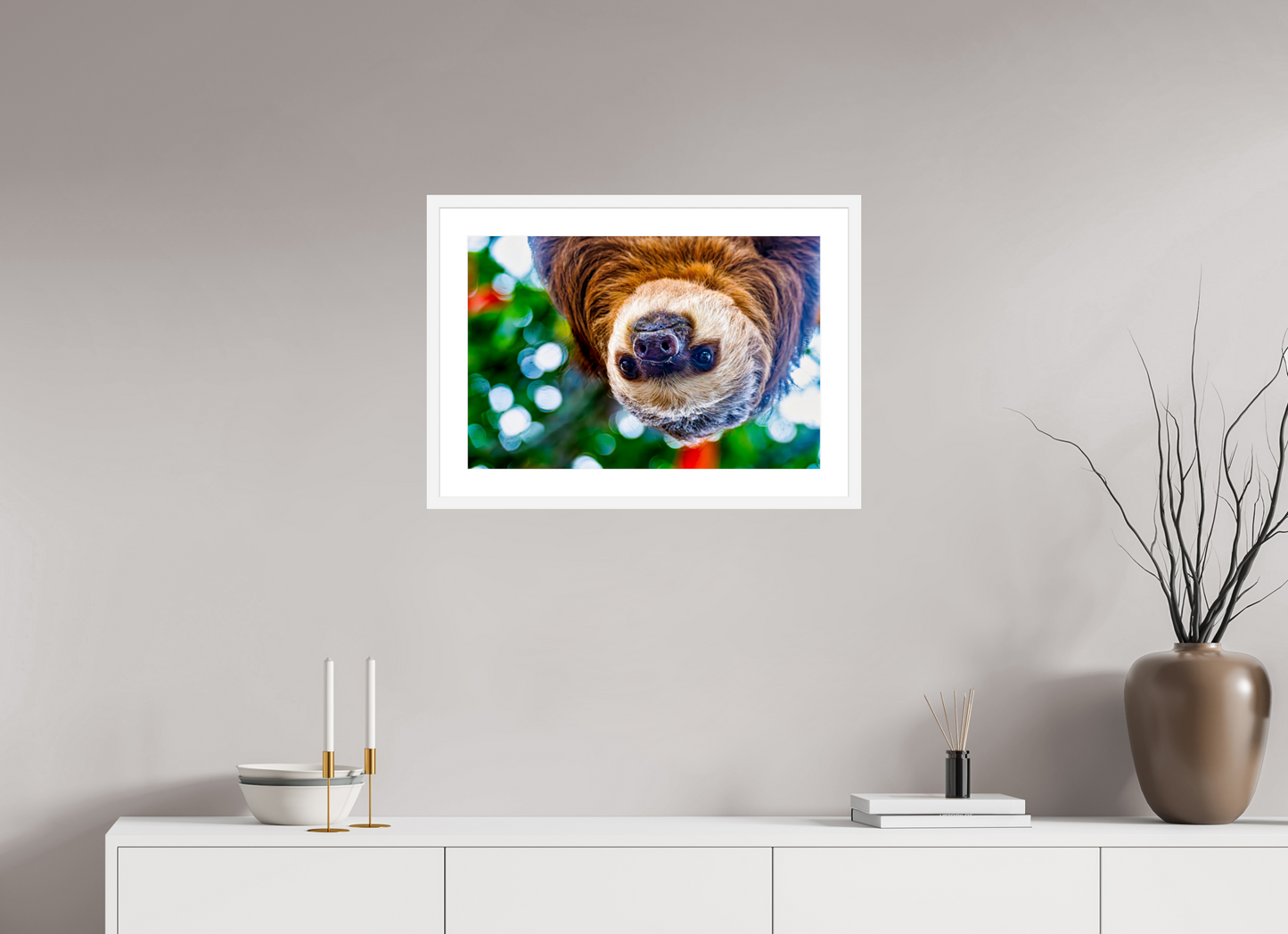 Hanging Two-Toed Sloth