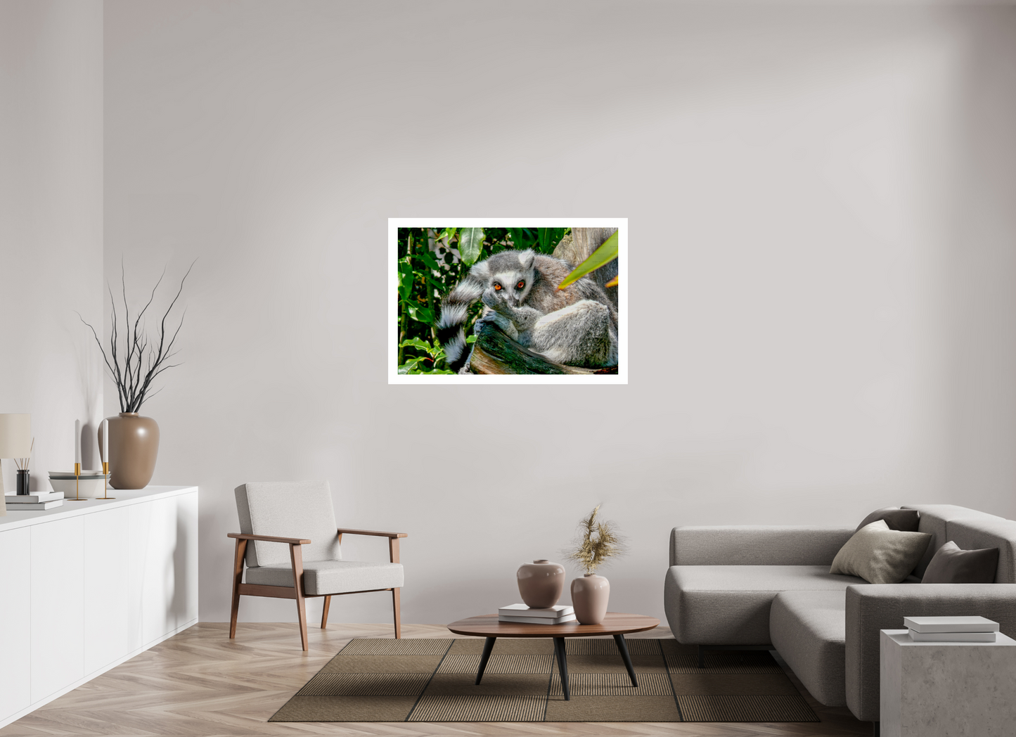 Ring-Tailed Lemur