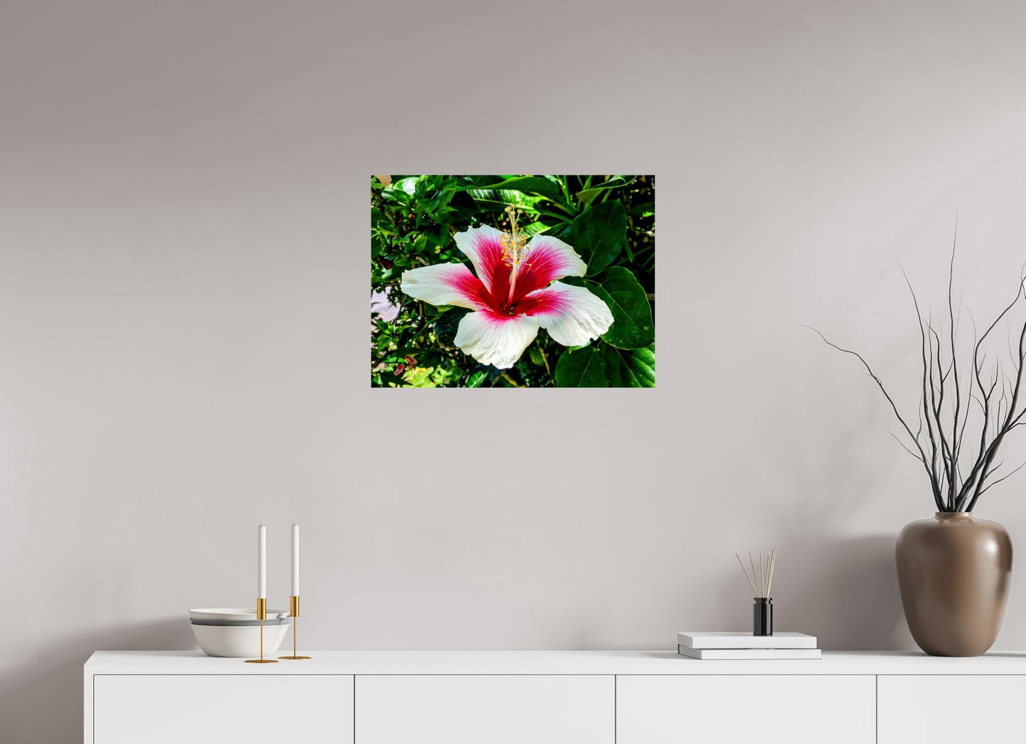 Hawai'ian Hibiscus