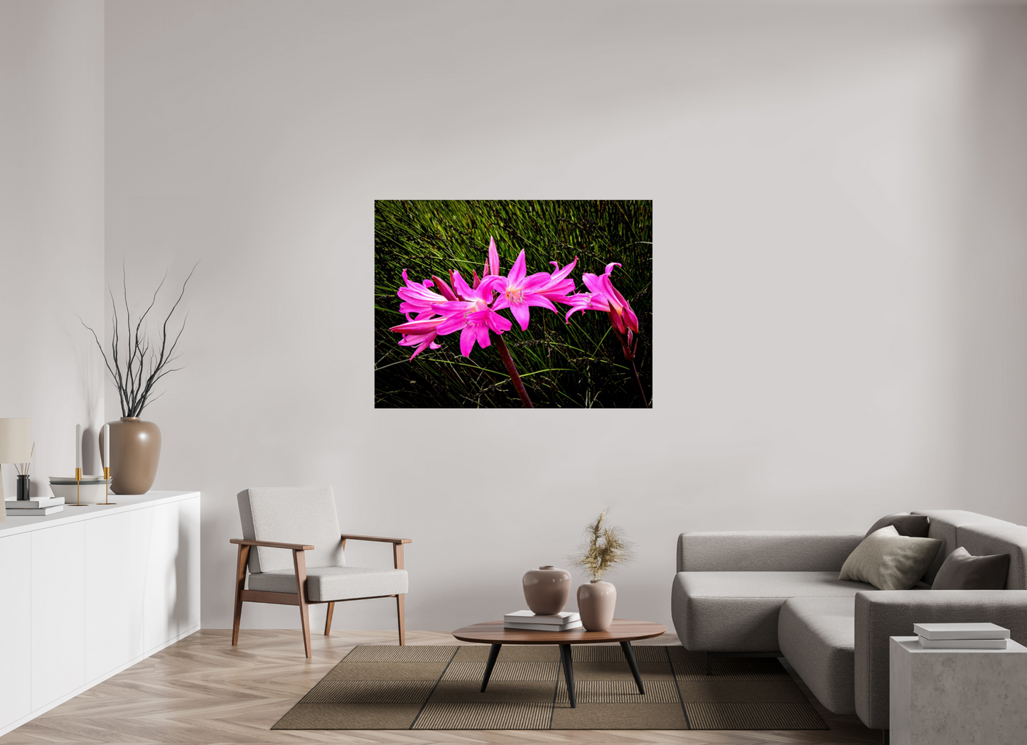 Belladonna