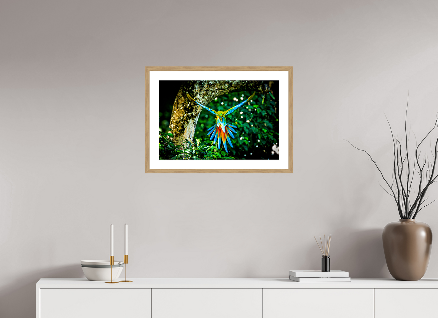 Great Green Macaw in Flight