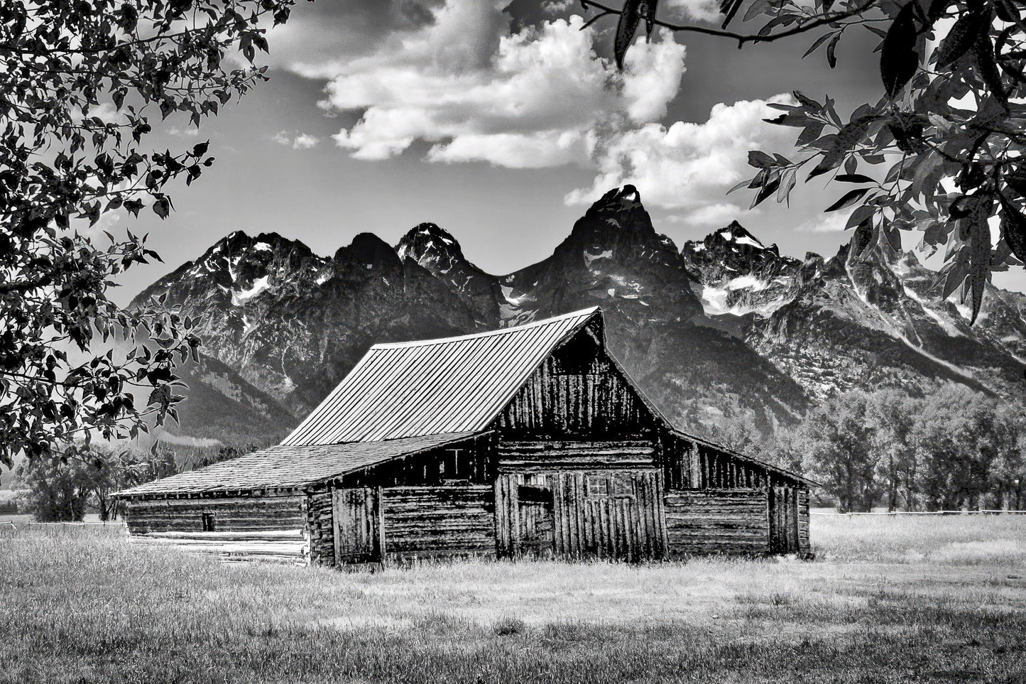 Mormon Row