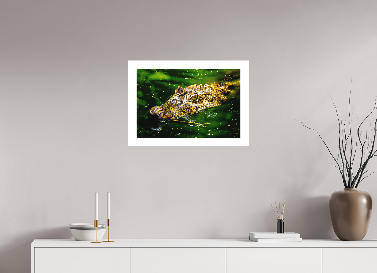 Caiman Crocodile
