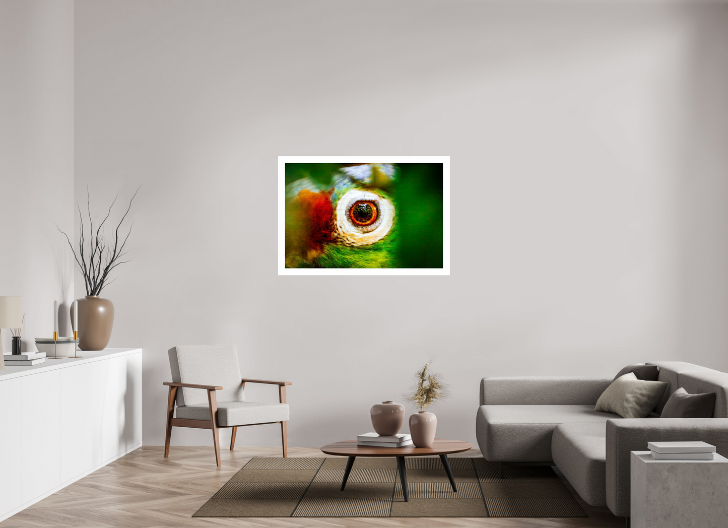 Eye of the Macaw