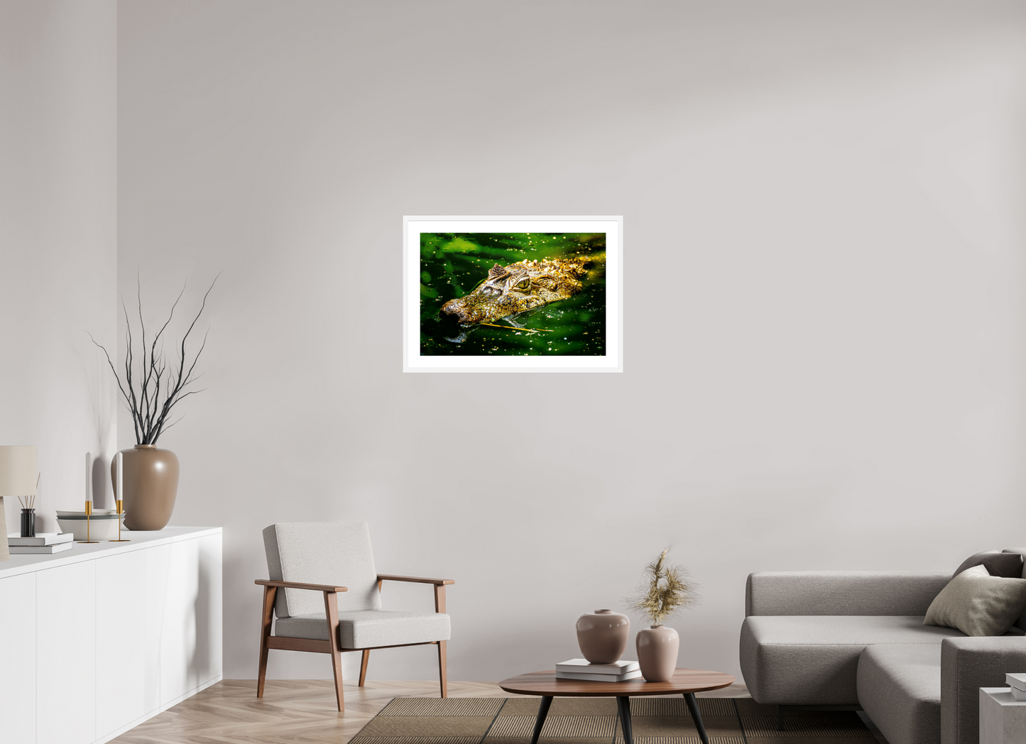 Caiman Crocodile