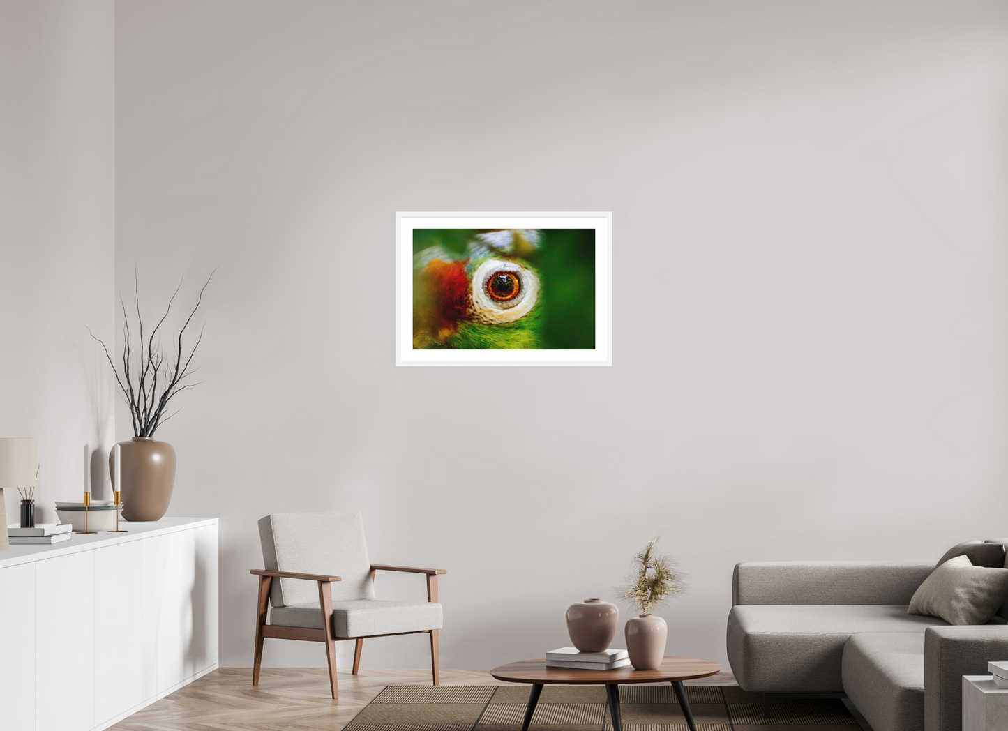 Eye of the Macaw