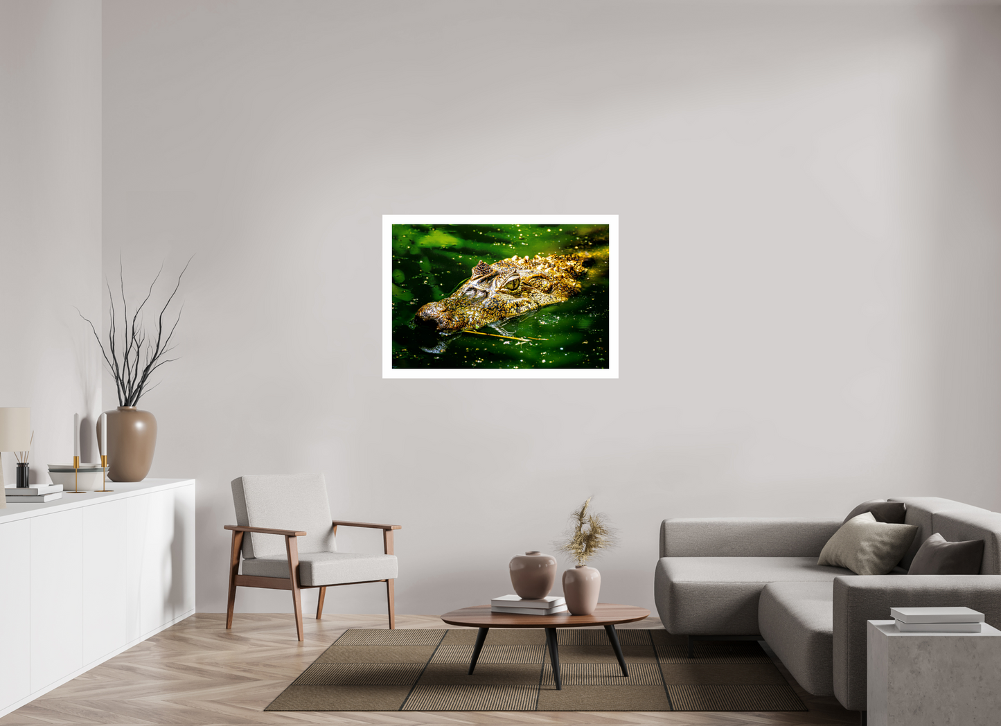 Caiman Crocodile