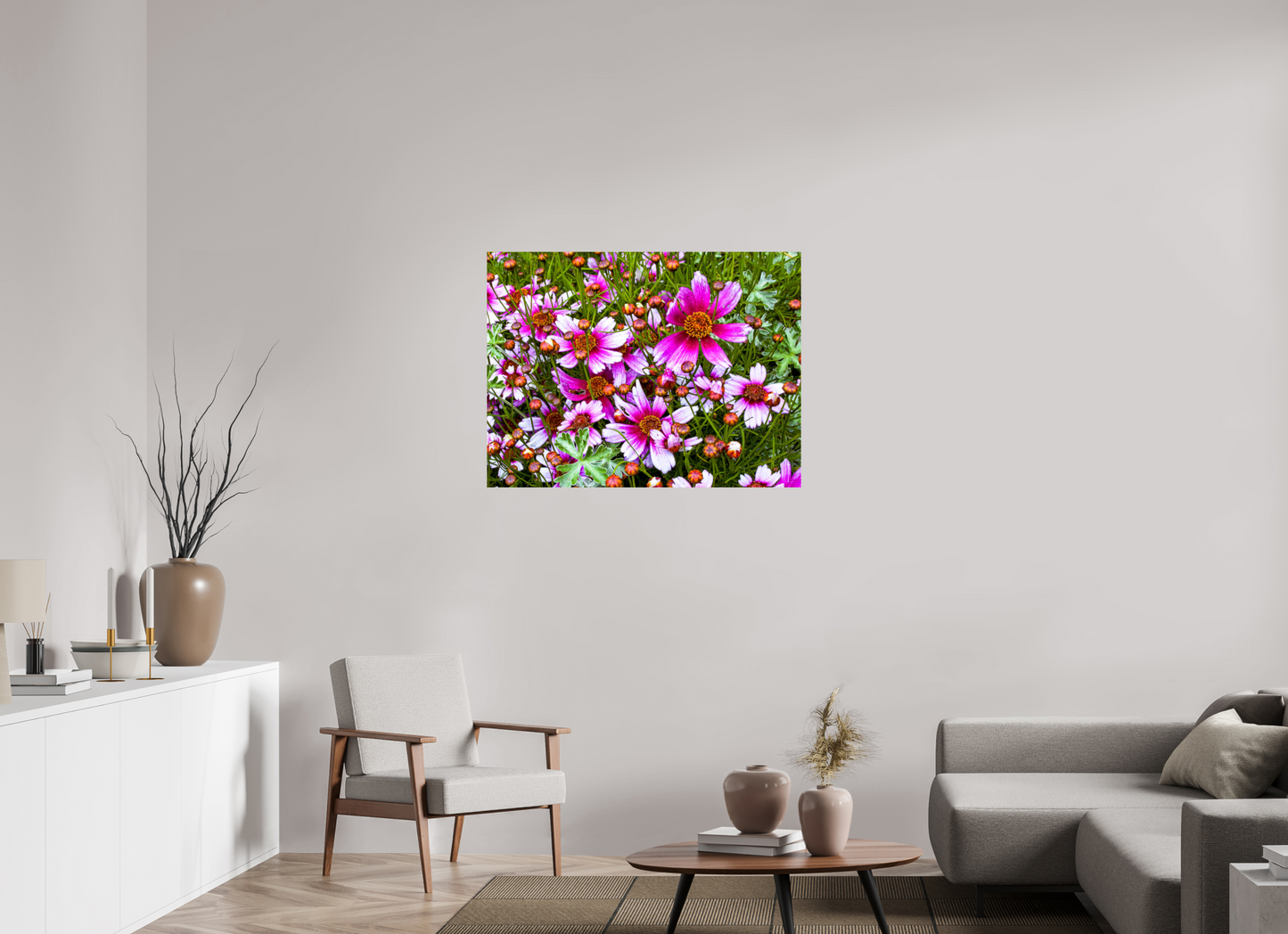 Mexican Aster