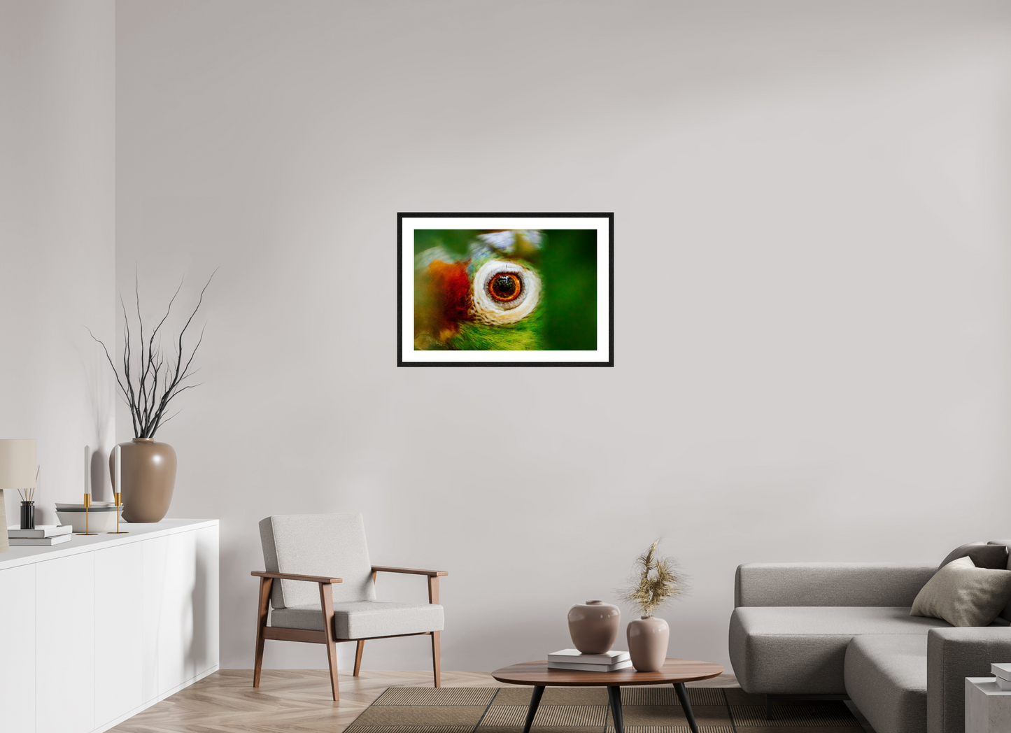 Eye of the Macaw