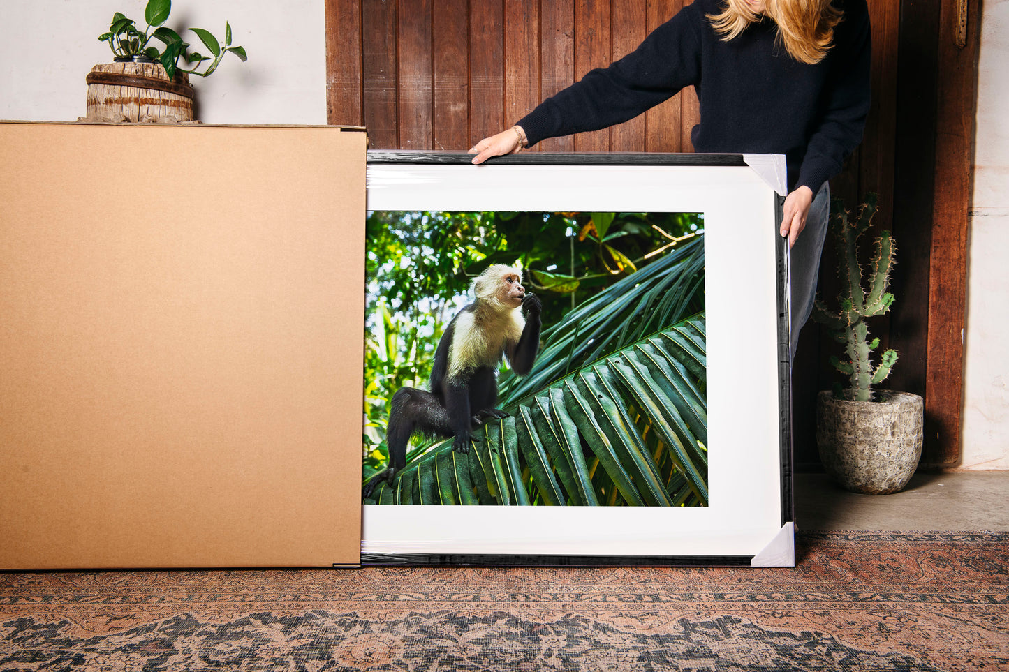 Capuchin Monkey