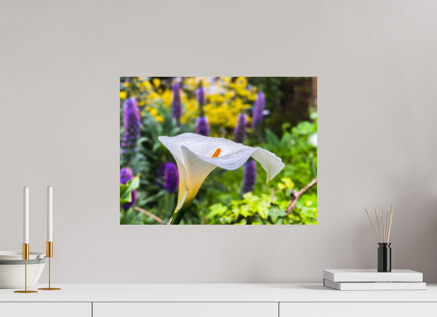 Calla Lily